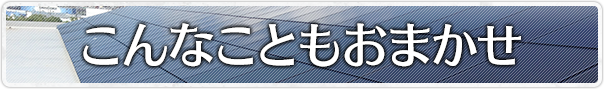 こんなこともおまかせ